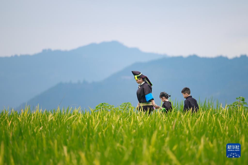 797游戏中心